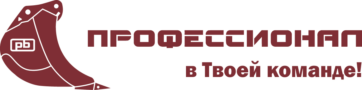 Профессионал иваново. Предприятие профессионал Иваново. Профессионал Иваново логотип. ООО профессионал. Профессионал навесное оборудование Иваново.